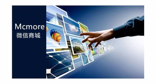 數(shù)碼電腦企業(yè)商情與信息技術(shù)發(fā)展趨勢(shì)分析